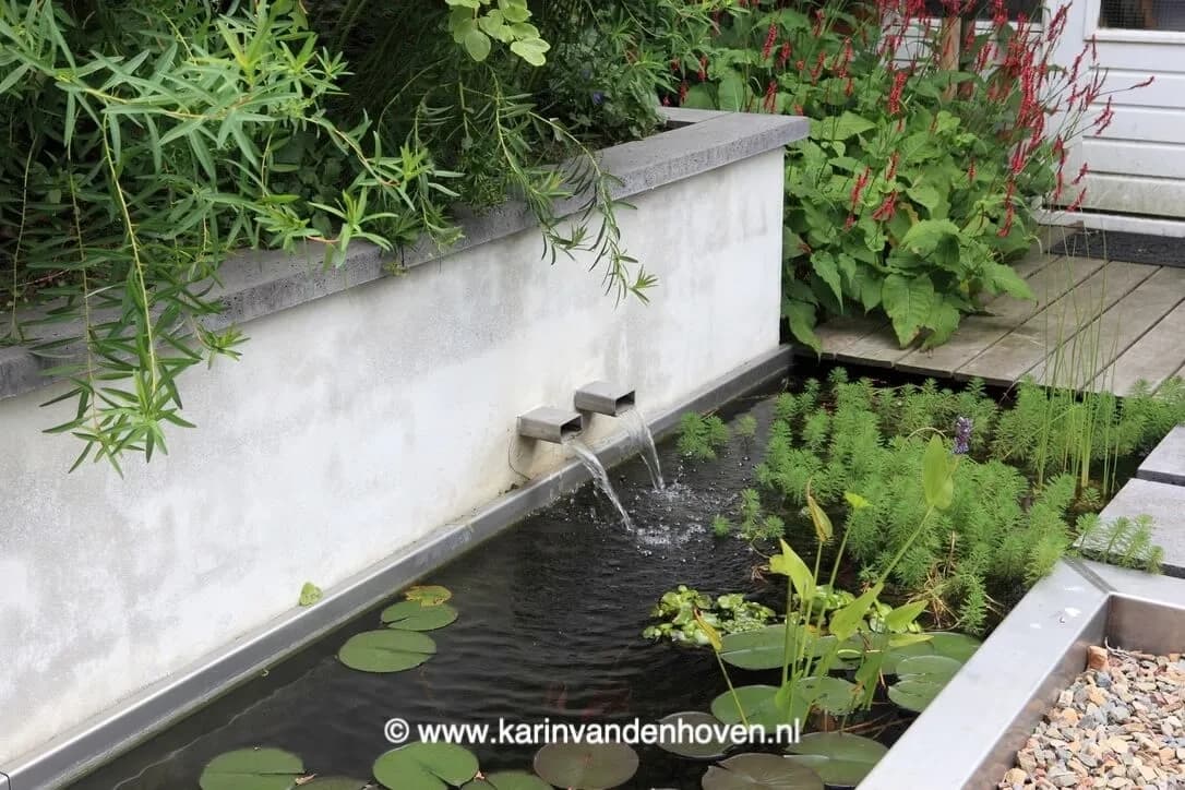 Kleine tuin met moderne waterelement en groene beplanting