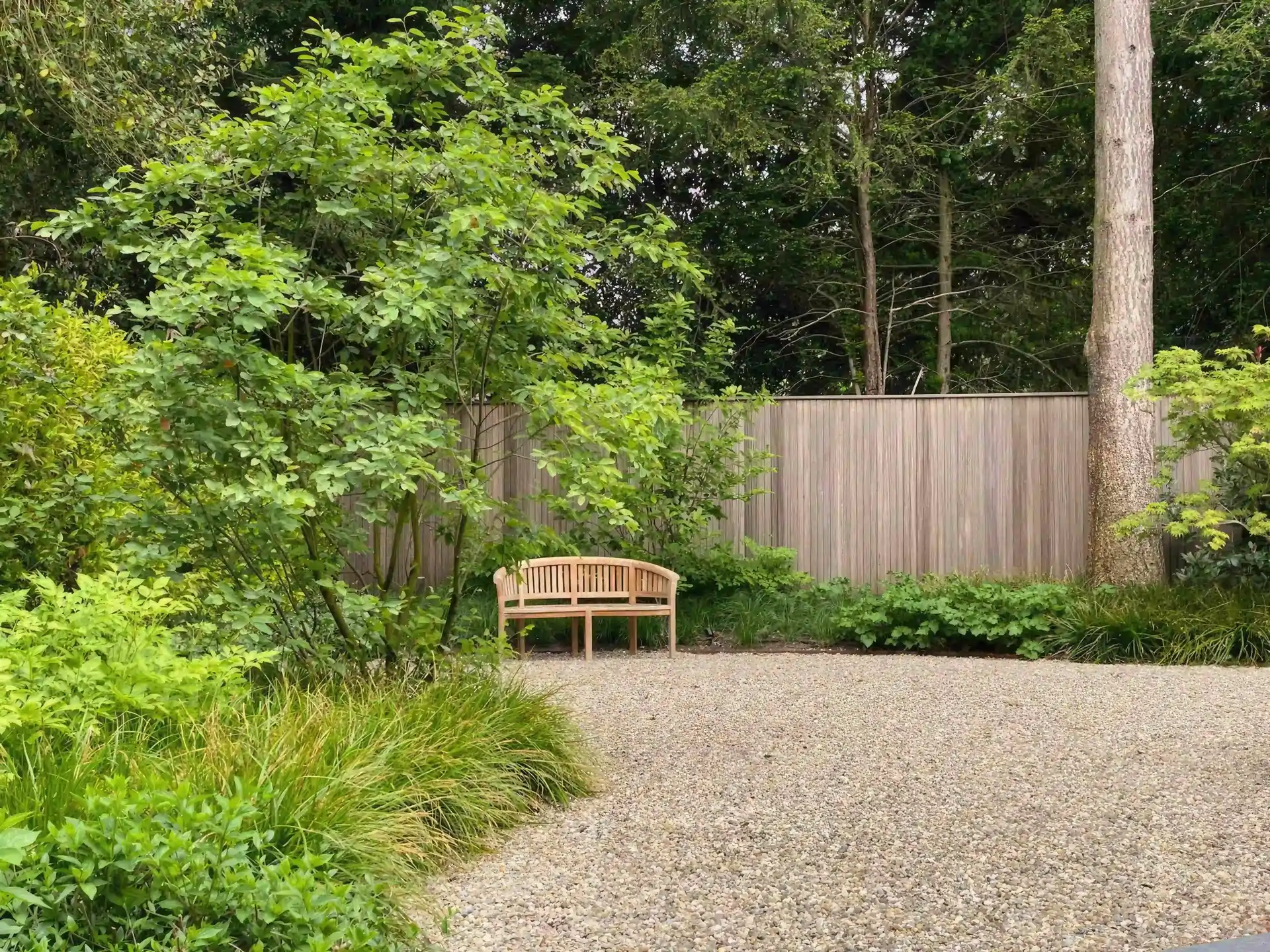 Tranquil garden retreat with wooden bench and naturalistic planting