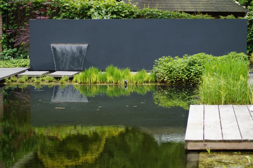 Waterval feature tegen donkergrijze wand met heldergroene waterplanten en reflecterende vijver