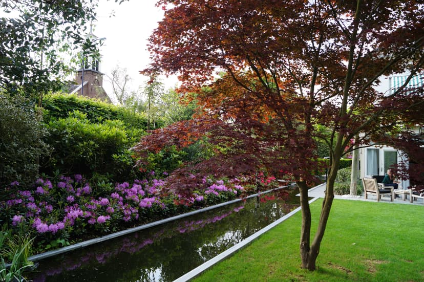 Loungeterras met spiegelvijver en paarse Rhododendrons