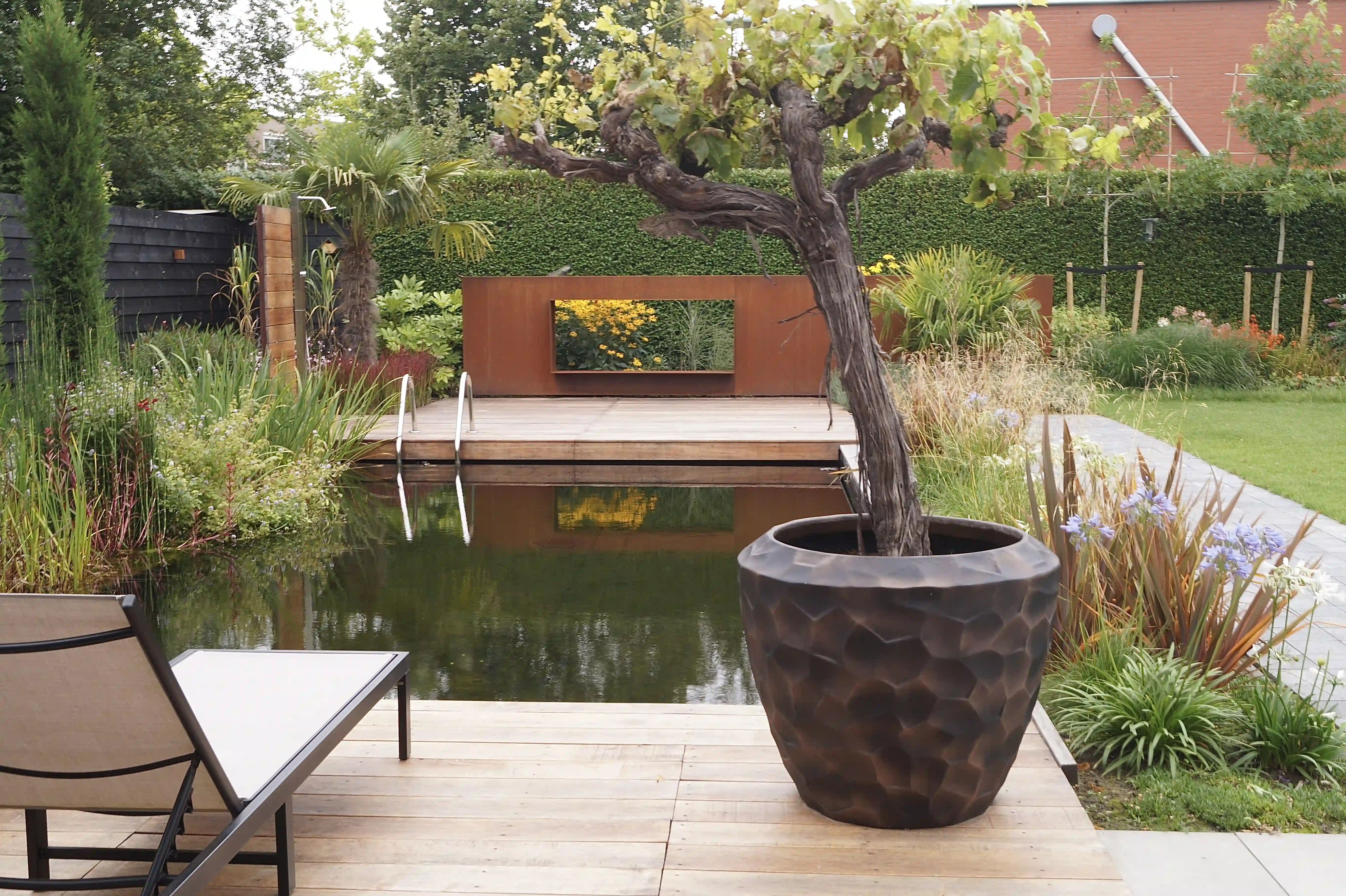 Overzicht zwemvijver met decoratieve wijnstok in grote pot