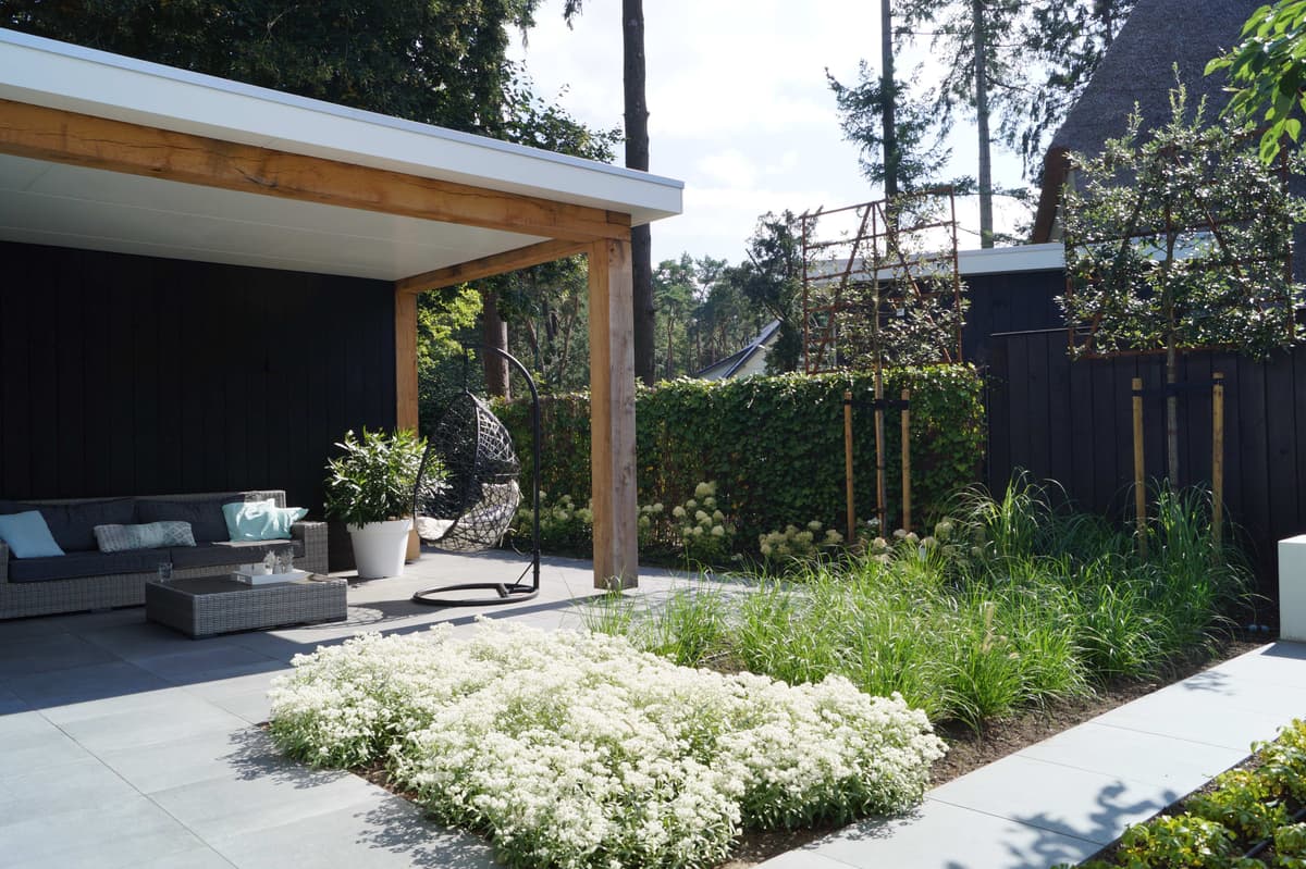 Loungeterras met houten pergola, witte bodembedekkers en moderne zwarte schutting