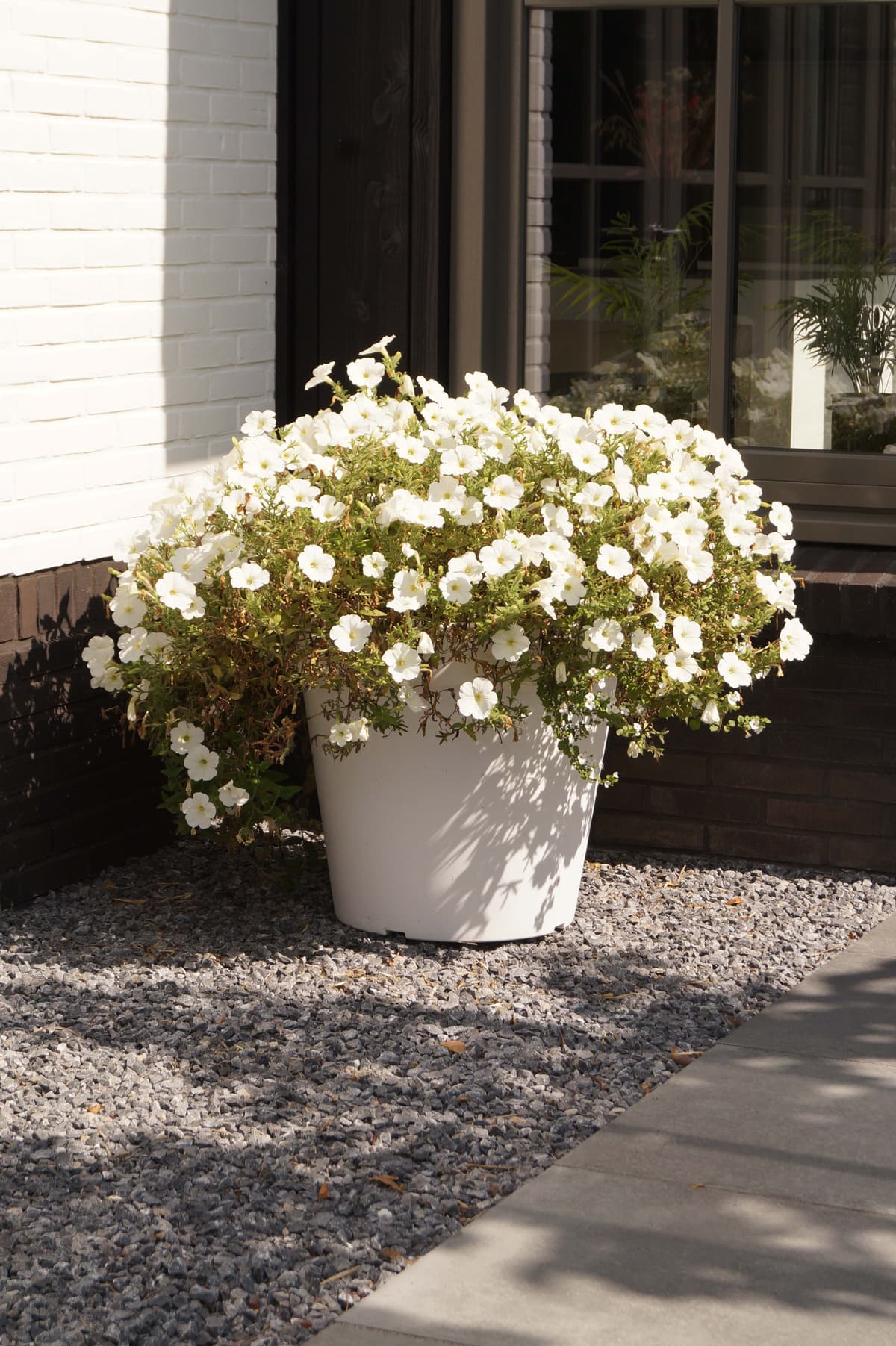 Grote witte plantenbak gevuld met witte petunia's bij de entree