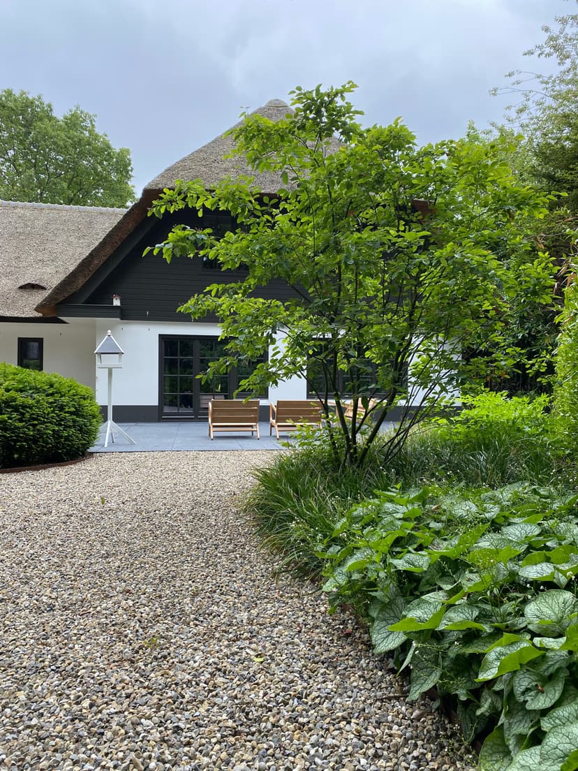 Dutch countryside home with thatched roof, modern extension, and mature tree garden design