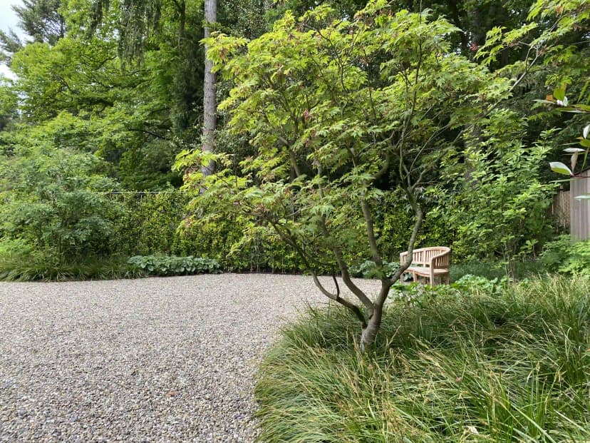 Grindhof met Japanse esdoorn en houten tuinbank tegen groene haag