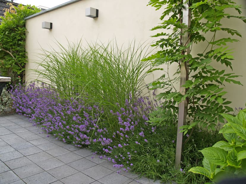 Paarse lavendel langs tuinmuur met siergrassen en moderne wandverlichting