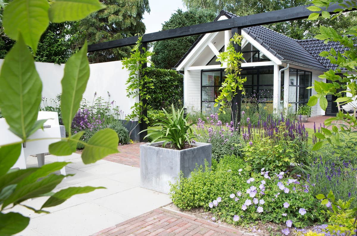 Mediterrane binnentuin met witte woning, paarse borders en geurende bloemen