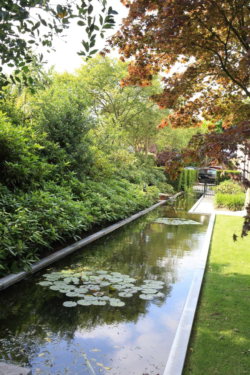 Vijver met waterlelies omgeven door weelderige beplanting