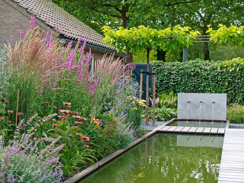 Contemporary water garden with reflecting pool, concrete fountain wall, and lush perennial plantings under grape vine pergola
