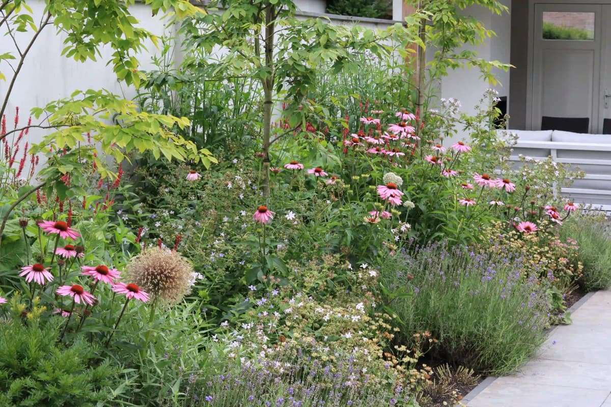 Mixed plantings with trees and garden border