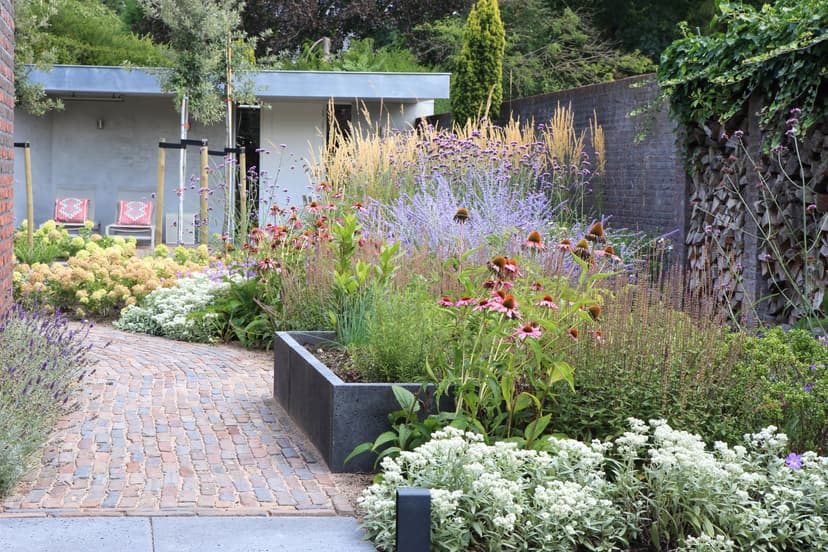 Modern garden with raised planters and purple plantings