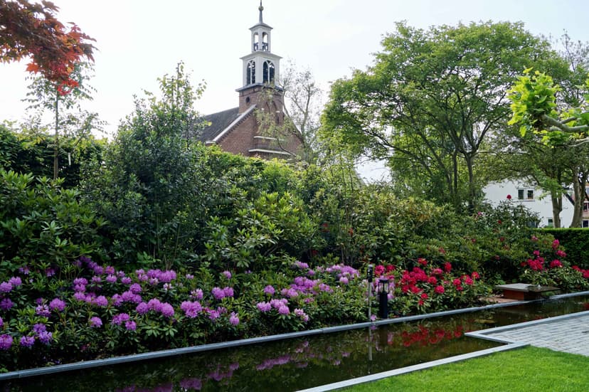Spiegelvijver met Japanse esdoorn en Rhododendrons