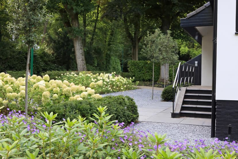 Tuinpad met hortensia's en paarse bloemen bij huisingang