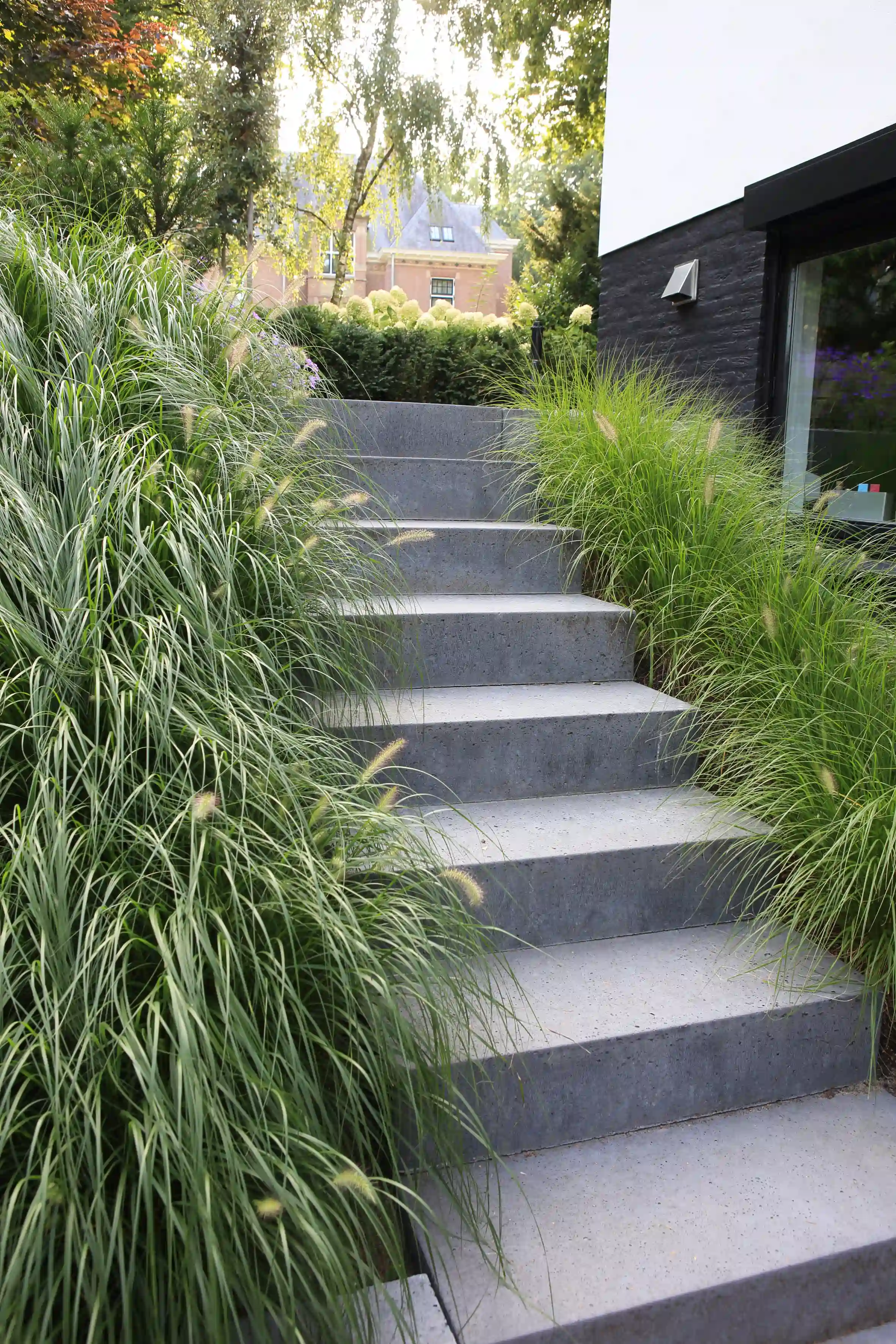 Betonnen trappen met siergrassen in moderne tuinarchitectuur