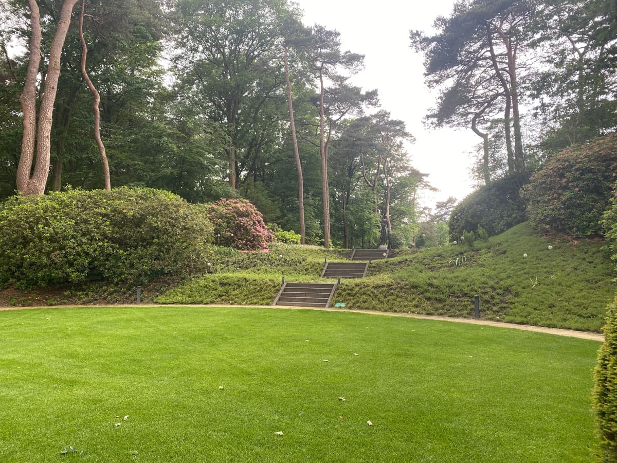 Gazon met houten traptreden naar bosrand met volwassen bomen