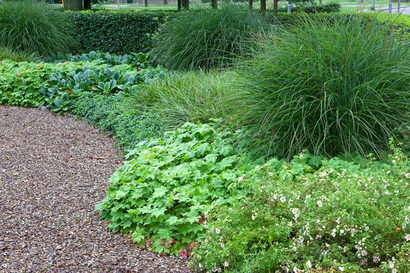 Grindpad met weelderige beplanting en siergrassen