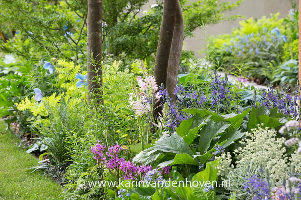 Planten voor een schaduwborder